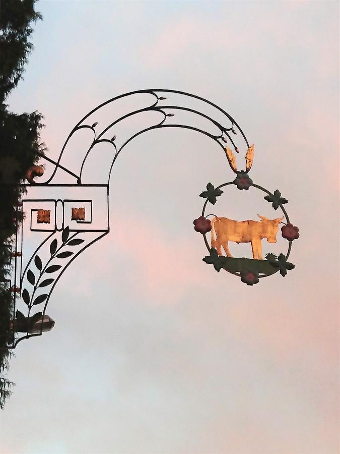 Gasthaus Zum Ochsen Neuhaus Kültér fotó